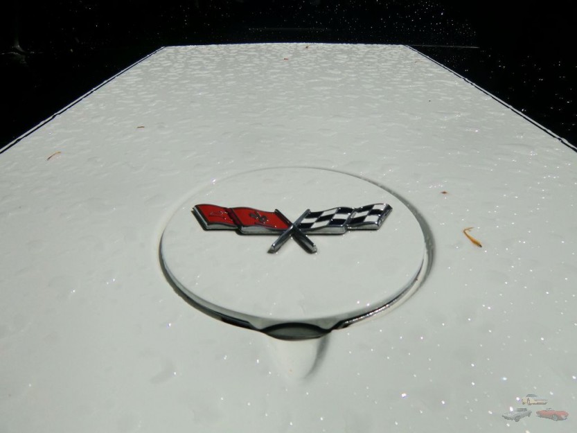 Bilder Christoph (95).JPG